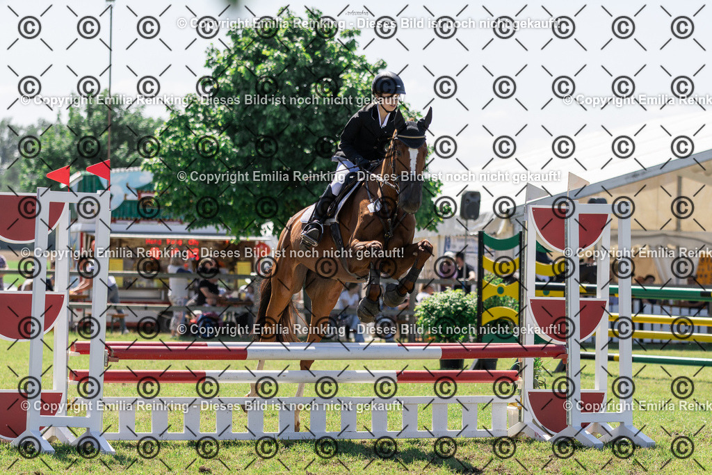 CL5A1014 | Emilia Reinking Fotografie - Realisiert mit Pictrs.com