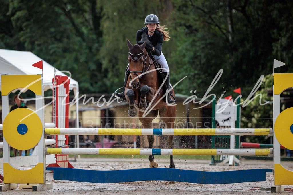 20260531-_3LI3738 | Tierfotografie Pferde, Hunde, Katzen, Haustiere.
Turnierfotografie Reitturniere, Reiten, Springreiten, Dressur in Hanau, dem Main-Kinzig-Kreis und dem Rhein-Main- Gebiet um Frankfurt