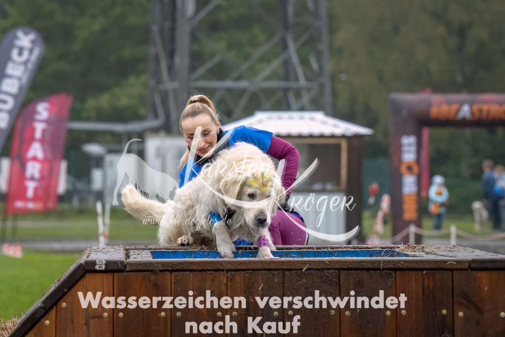 1230--12 | kk-dogfotos