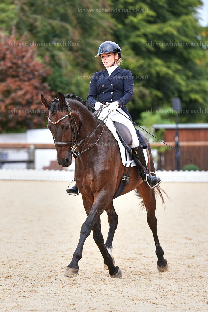 11-066-Dressur S___-Marixx-1648 | working equitationturnier fotograf videograf stoibphotography marixx film working equitation deutschland reitsport turnierfotografie eventfotografie equestrian events