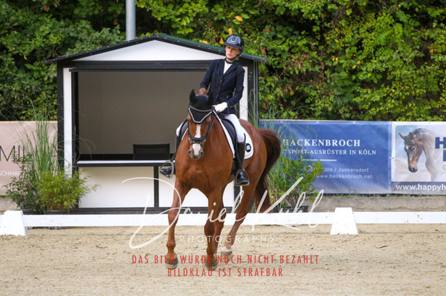 DKP41289 | Turniersportfotografie; Pferdefotografie; Dressurfotografie