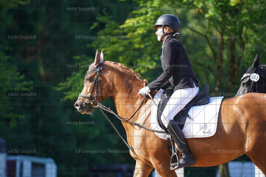 20240706-FAH04448 | Grafing Turnierfotos, Reitverein Ebersberg, Turnierfotografen Bayern, reitsportbilder, Pferdefotograf, reitsportfotograf, Sportbilder, Reitsportfotografie, Fotoagentur Herrmann, Turnierfotograf