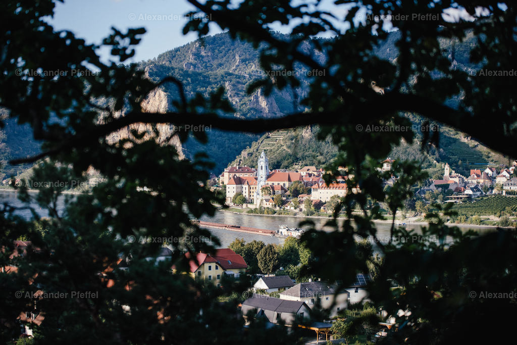 datei_c_alexander_pfeffel-8466 | alexander-pfeffel - Realisiert mit Pictrs.com