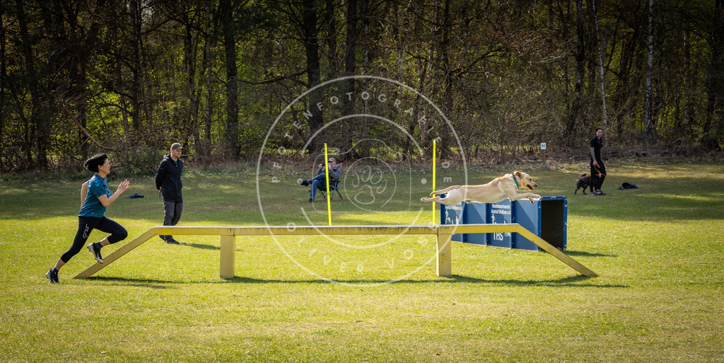 Pfotenfotografie_DV3A2915 | Hundefotografie, Tierfotograf, Pfotenfotografie, Fotoshooting Hund, Hunde Portrait, Hundesport, Hundeportraits, Heideshooting, Hunde, Sportfotograf, Hundefotograf, Turnierhundsport, THS,  - Realisiert mit Pictrs.com