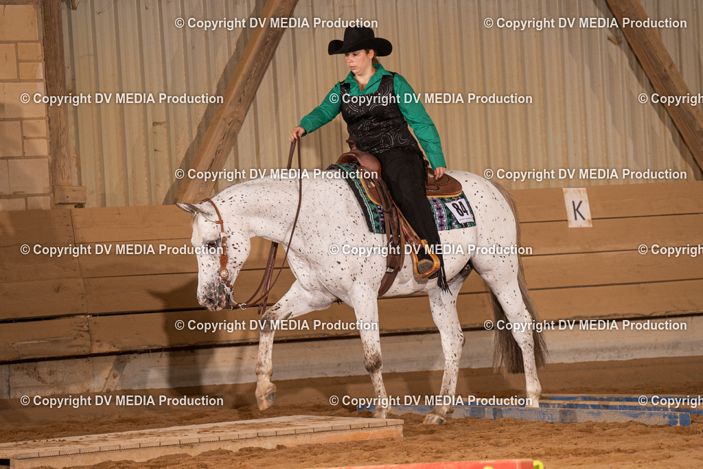 NID00676 | dv-media-shop - Realisiert mit Pictrs.com