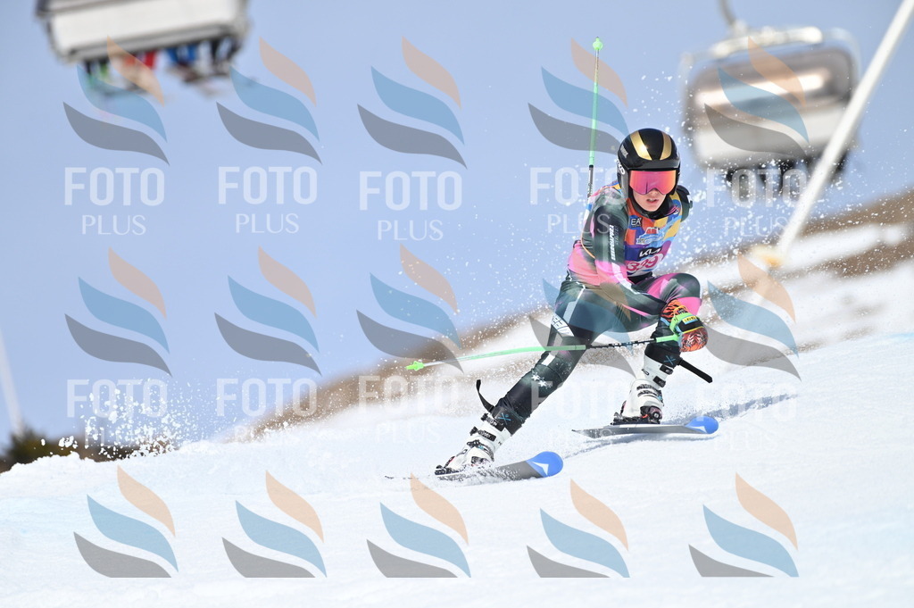 BGV_3428 | holidayphoto