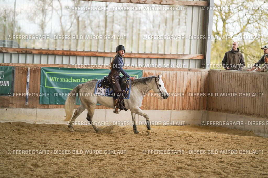 DSC08895 | Pferdegrafie