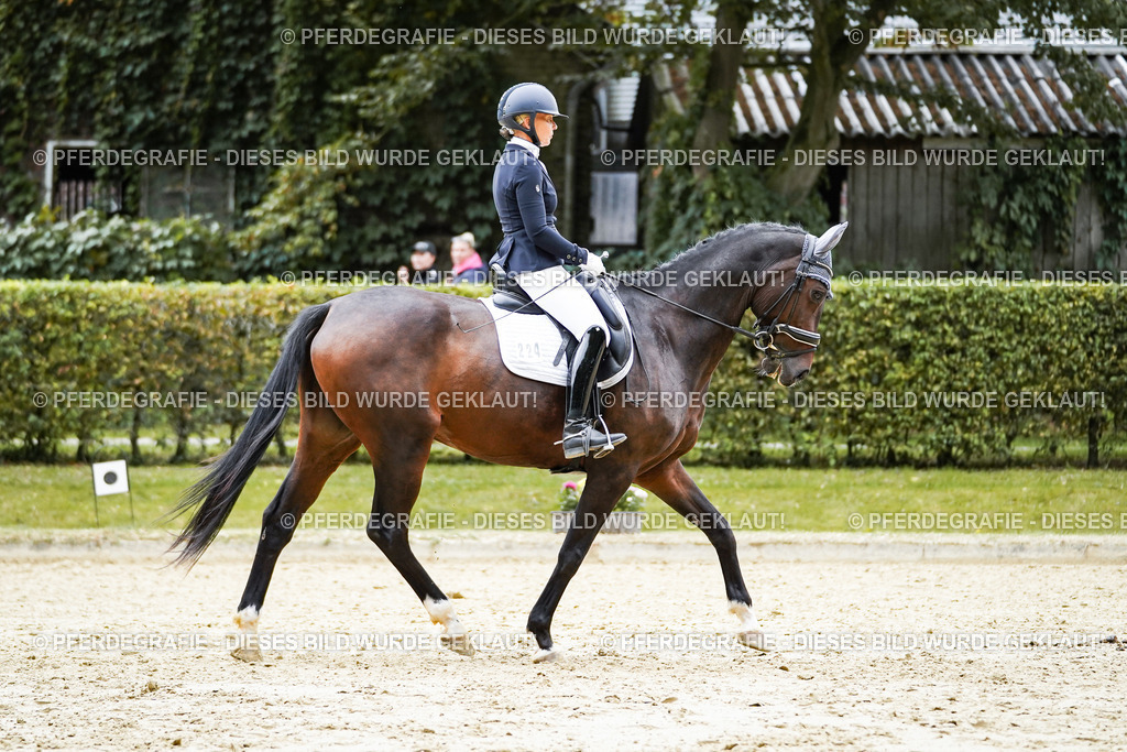 DSC09824 | Pferdegrafie