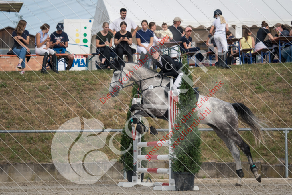 ND5_9105 | Sport-, Event- und Tierfotos in Profiqualität. Einfach auswählen, bestellen und herunterladen. Dein Moment – perfekt festgehalten.