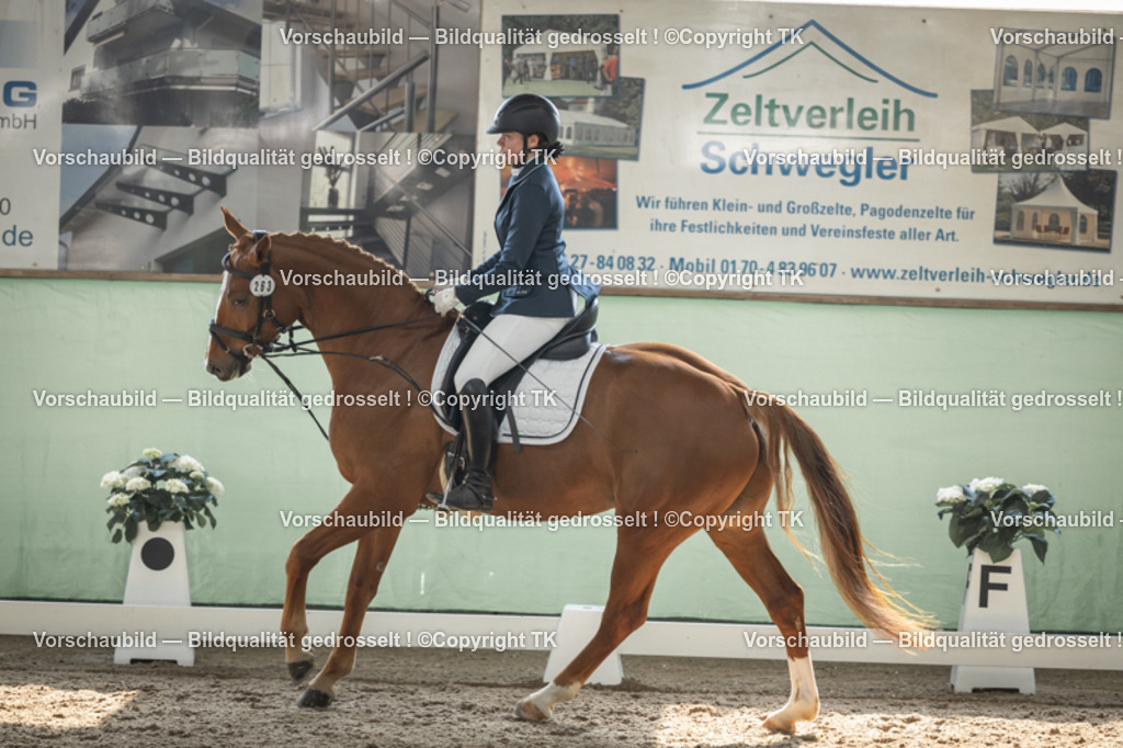 _D5A5614 | Emotionale Pferde- & People-Fotografie rund um Heidelberg, Leimen & Umgebung. Natürliche Fotos von Pferd, Mensch & Familie. Jetzt Termin sichern!