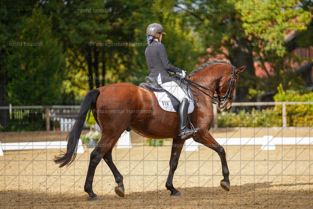 20221007-FAH09923 | Diessen am Ammersee, 2022, Dressur- und Springturnier, Reitsportbilder, Turnierfotografen Bayern, Pferdefotografen, Fotoagentur Herrmann, Turnierbilder