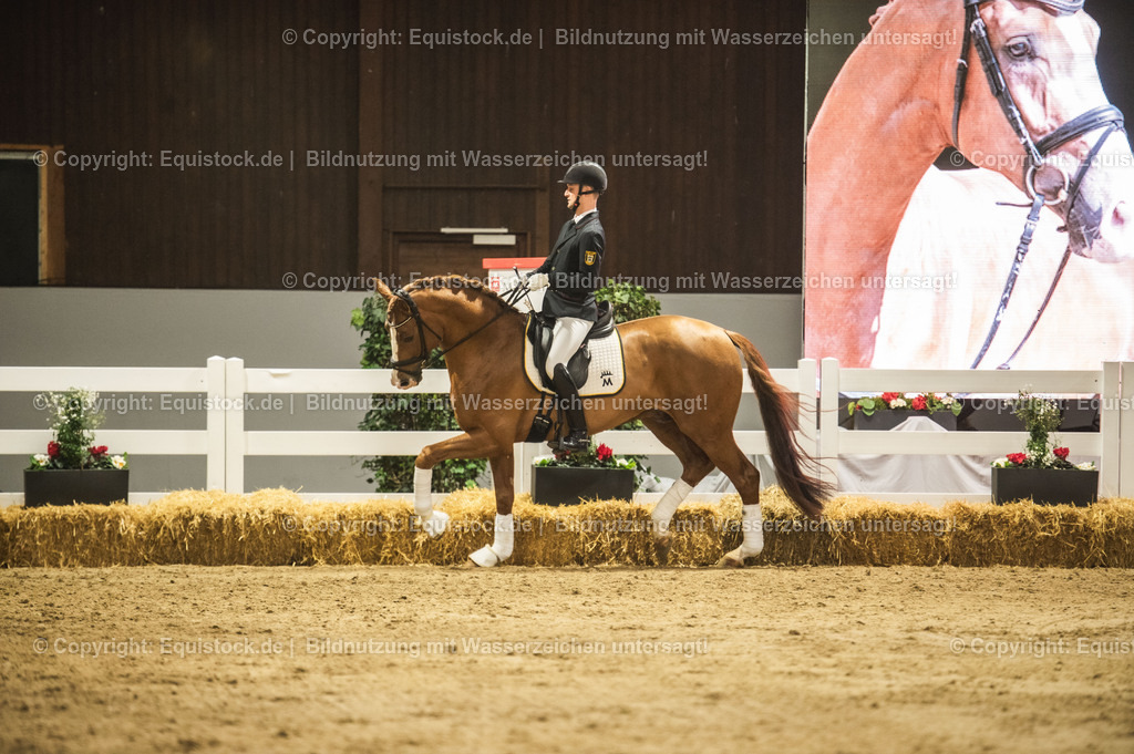 20240302_Hengstvorstellung_Marbach_TOMsPiC_0573 | equistock
