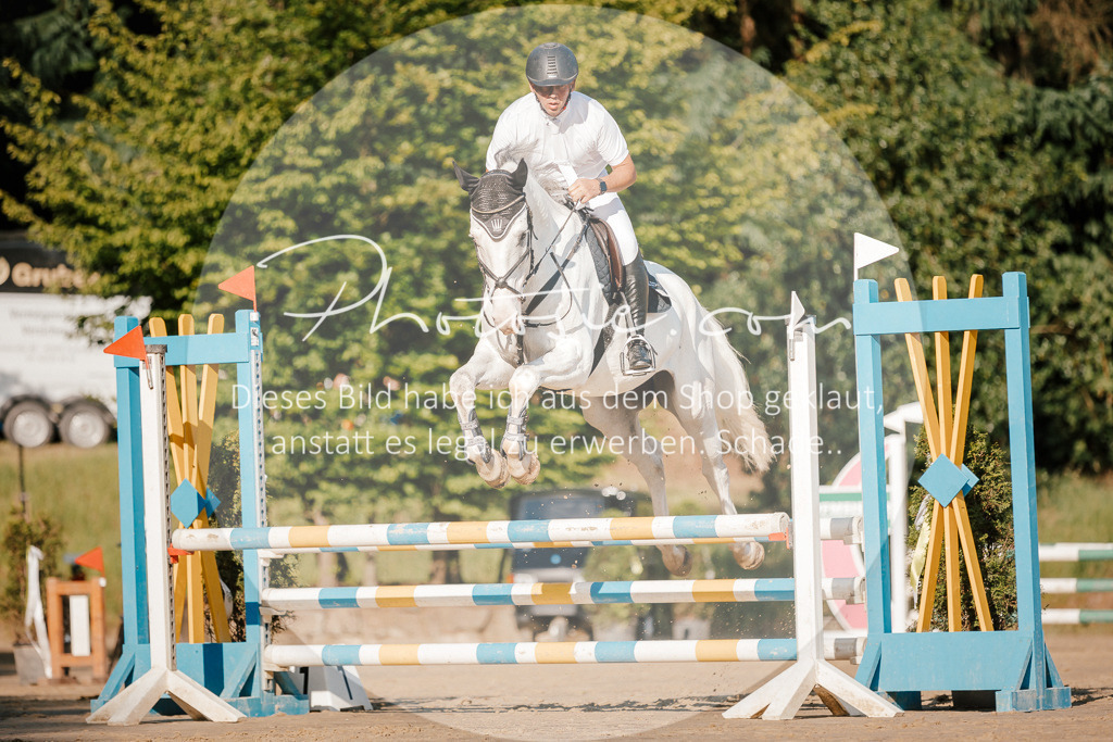 3I6A6226 | Stimmungsvolle Portraits und Reitsportfotografie im Ruhrgebiet und im Münsterland.

Pferdefotografie, Hundefotografie, Tierfotografie, Reportagen, Portraits von Tier und Mensch, Turnierfotografie in Bochum, Recklinghausen, Marl, Haltern am See, Dülmen.. - Realisiert mit Pictrs.com