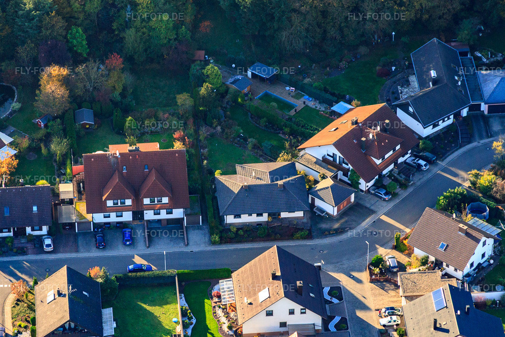 Luftbild: Südring in Rülzheim im Bundesland Rheinland-Pfalz in Deutschland. Foto: IMG_60469.jpg vom 24.10.2013 durch Werner Riehm/FLY-FOTO.de