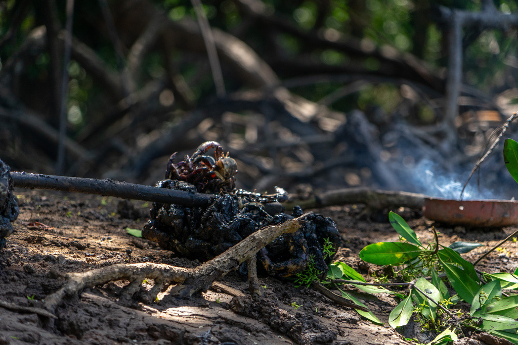 20251114-DeltaTour-0021 | paulependelt - Realisiert mit Pictrs.com