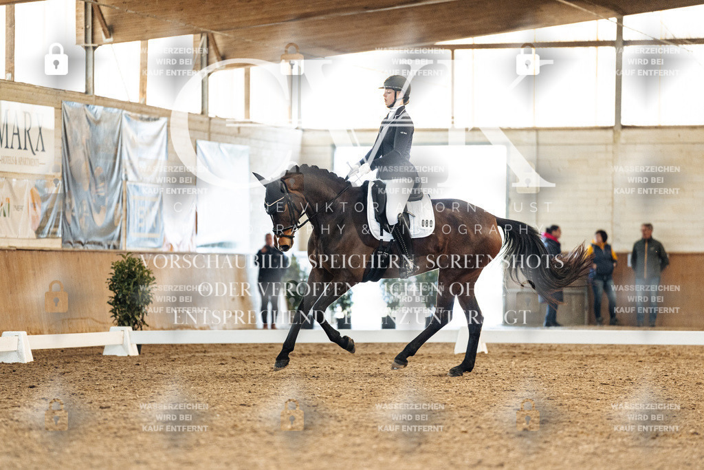 CK908810 | Turnierfotografie Pferdefotografie Trier Rheinland-Pfalz Pferdesport Reitsport Tierfotografie Sportfotografie Pferdevideo Pferdevideografie Equestrianvideography equestrianphotography  - Realisiert mit Pictrs.com
