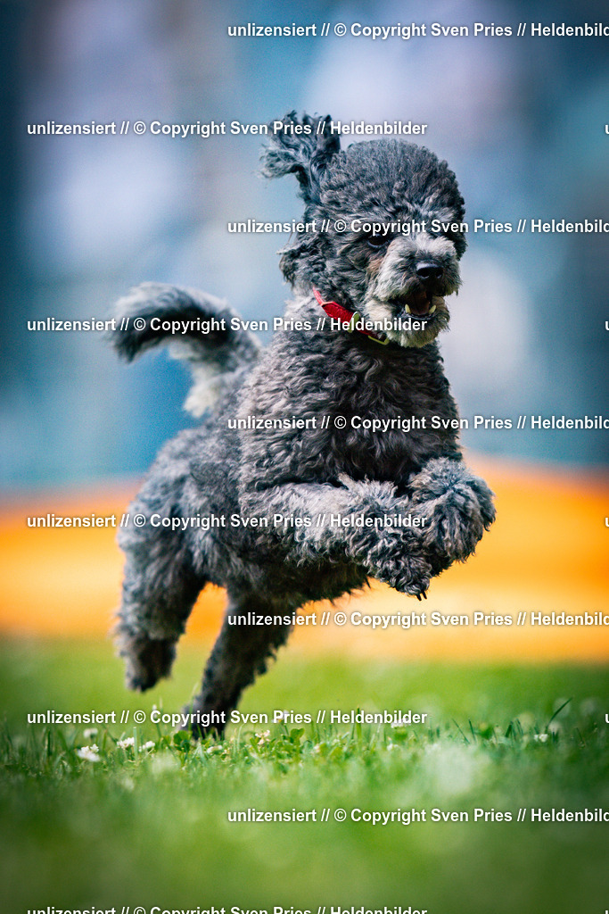 Sven Pries | 2025-05-29 - Pudelrennen KA-Durlach - Realisiert mit Pictrs.com