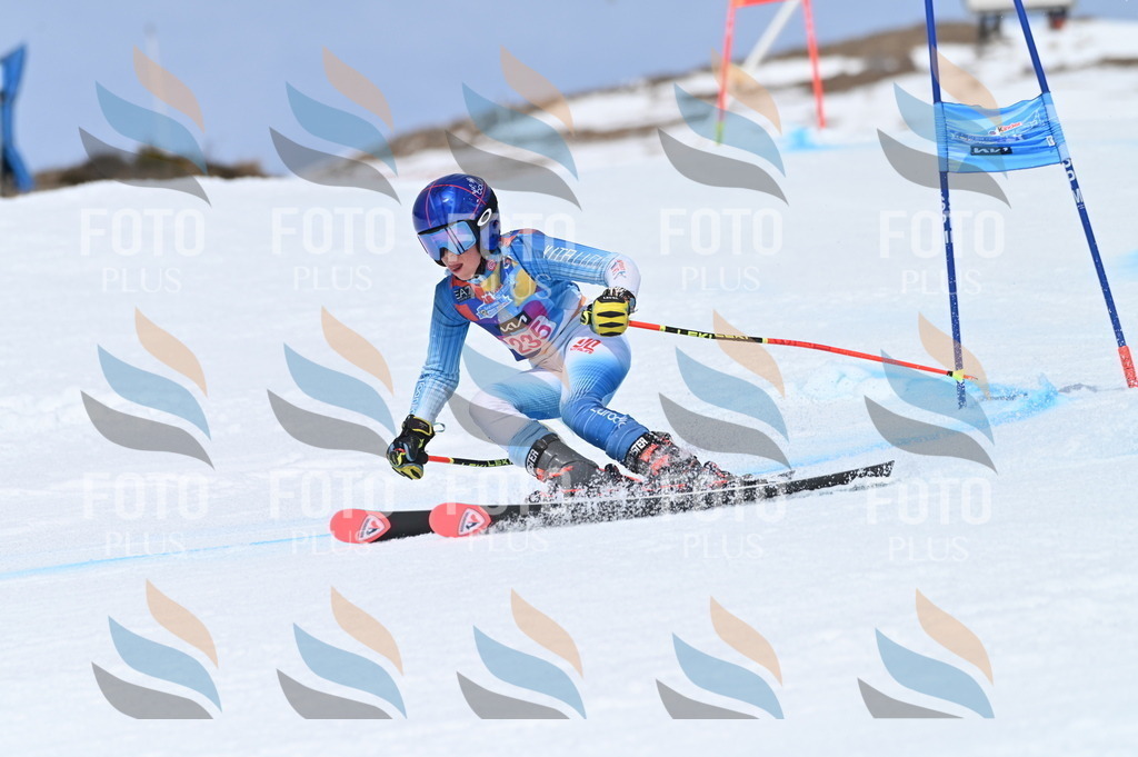 BGV_1602 | holidayphoto