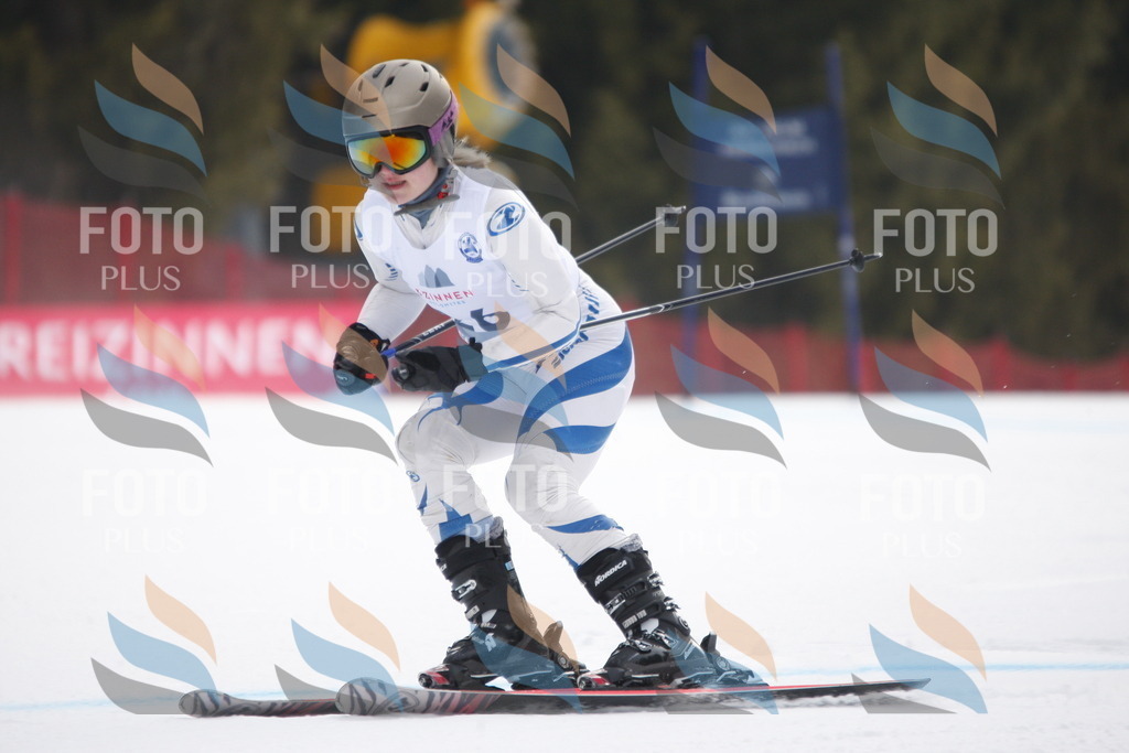 D4981 | holidayphoto