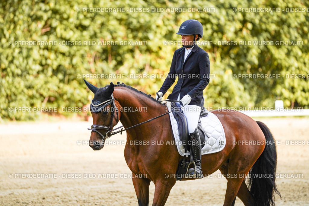 DSC04687 | Pferdegrafie