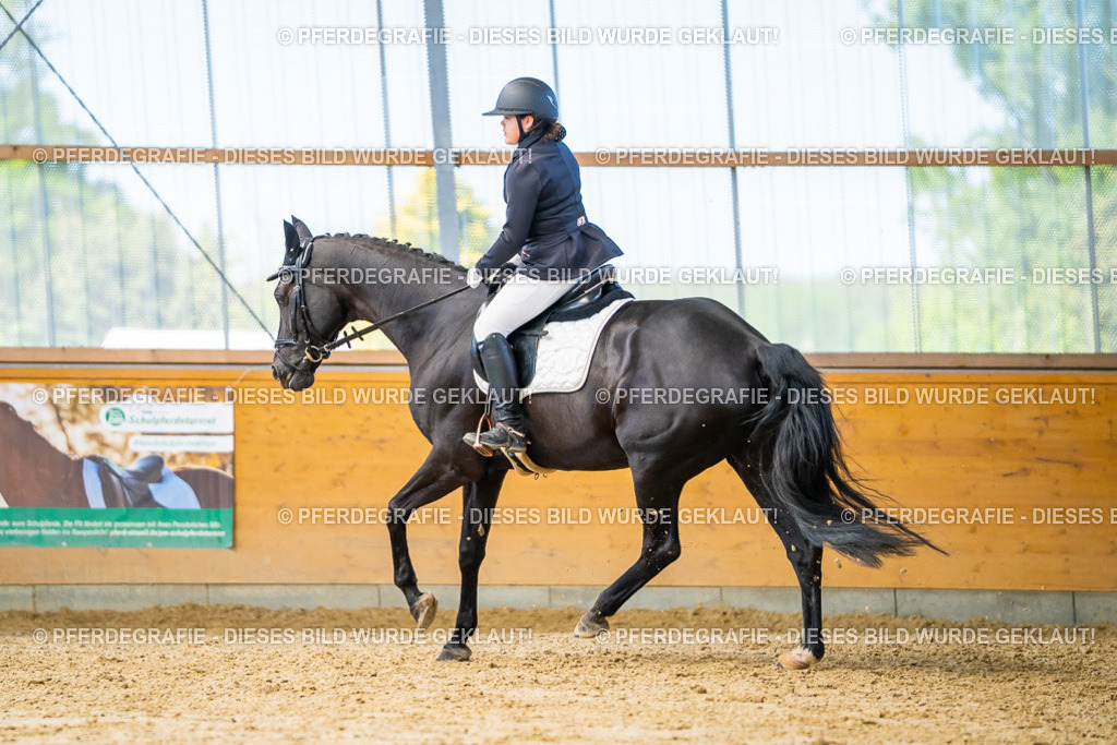 DSC08070 | Pferdegrafie