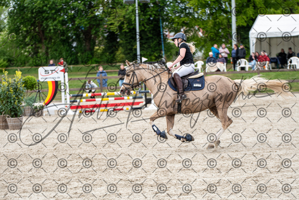 KPT_7398 | andre_photographic