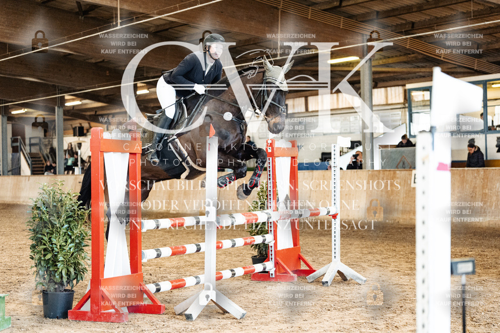 CK904957 | Turnierfotografie Pferdefotografie Trier Rheinland-Pfalz Pferdesport Reitsport Tierfotografie Sportfotografie Pferdevideo Pferdevideografie Equestrianvideography equestrianphotography  - Realized with Pictrs.com
