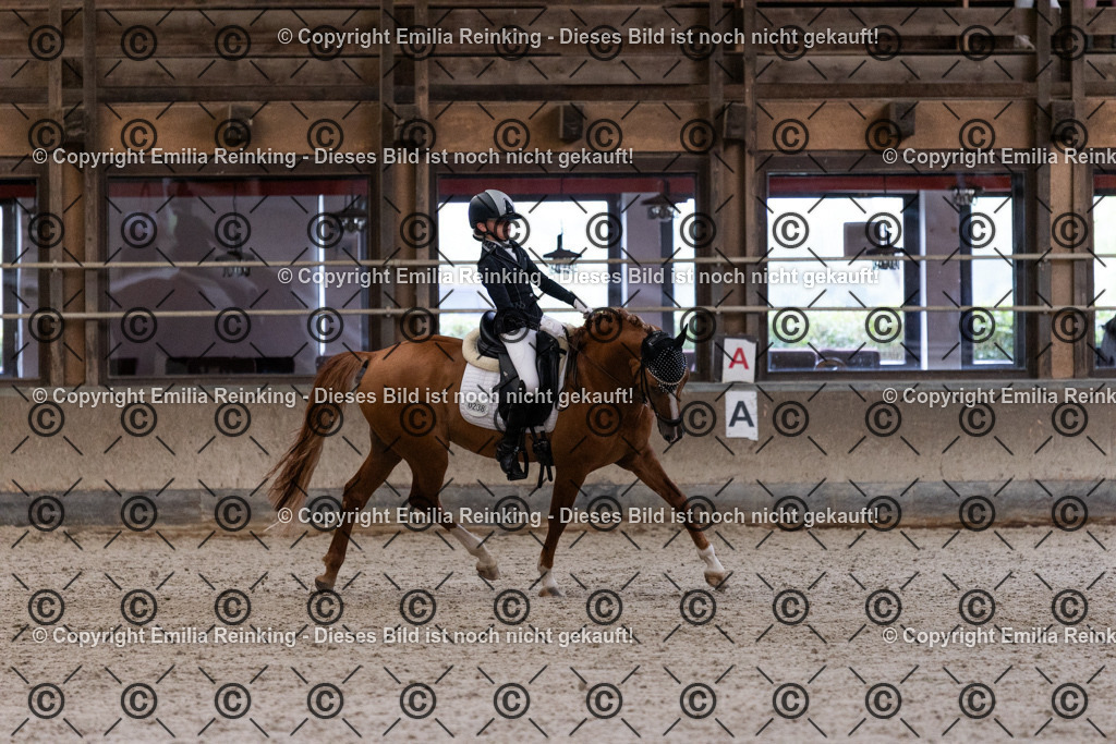 CL5A5240 | Emilia Reinking Fotografie - Realisiert mit Pictrs.com