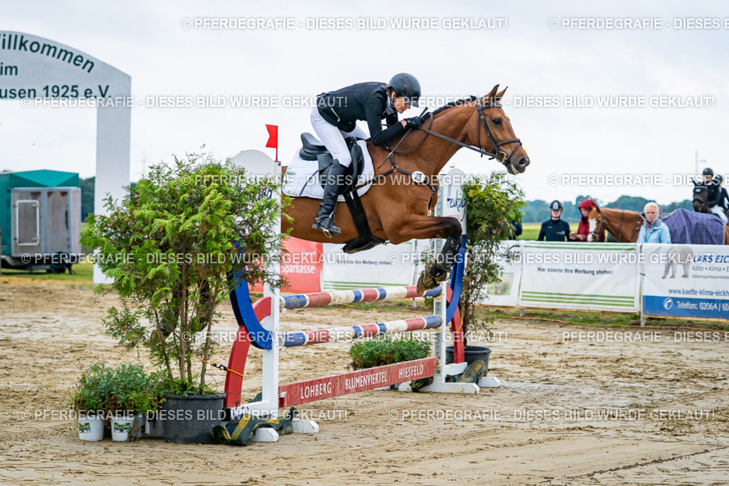 DSC02347 | Pferdegrafie