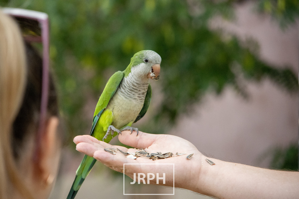 IMG_4312 | jrph - Realisiert mit Pictrs.com