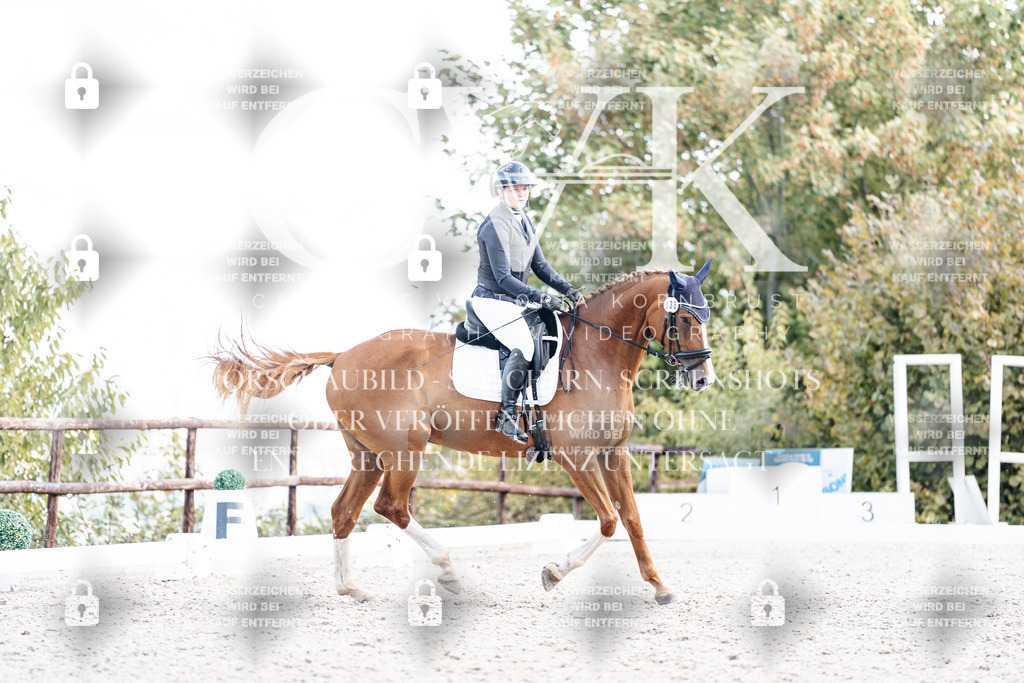 CK902486 | Turnierfotografie Pferdefotografie Trier Rheinland-Pfalz Pferdesport Reitsport Tierfotografie Sportfotografie Pferdevideo Pferdevideografie Equestrianvideography equestrianphotography  - Realisiert mit Pictrs.com