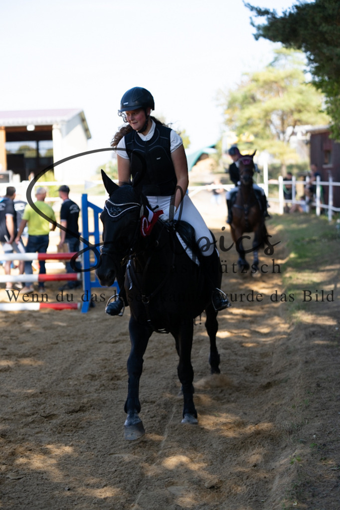 A7V02562 | Pferdefotograf