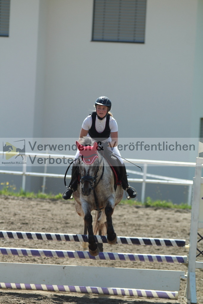 IMG_3386 | equestrian-live-com
