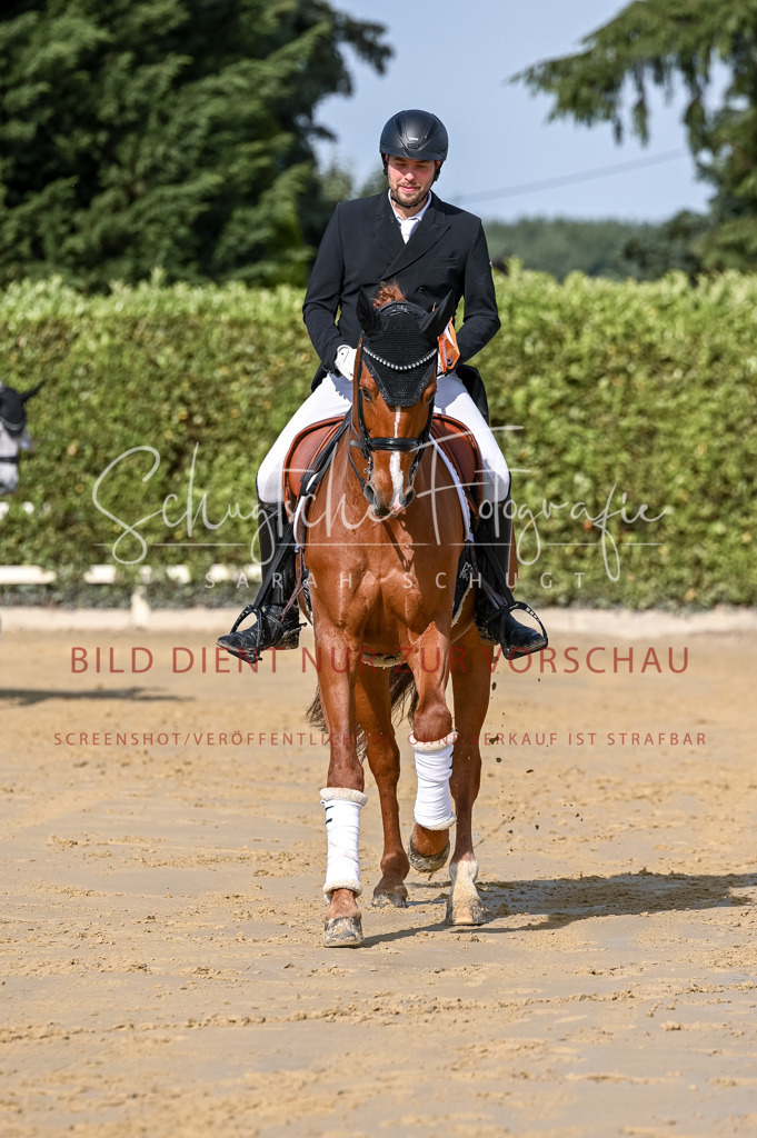 Schugtsche-Aluta25-58. Dressurprf.S1Kand.St.GeorgSpecial-410 | Schugtsche Fotografie - Realisiert mit Pictrs.com