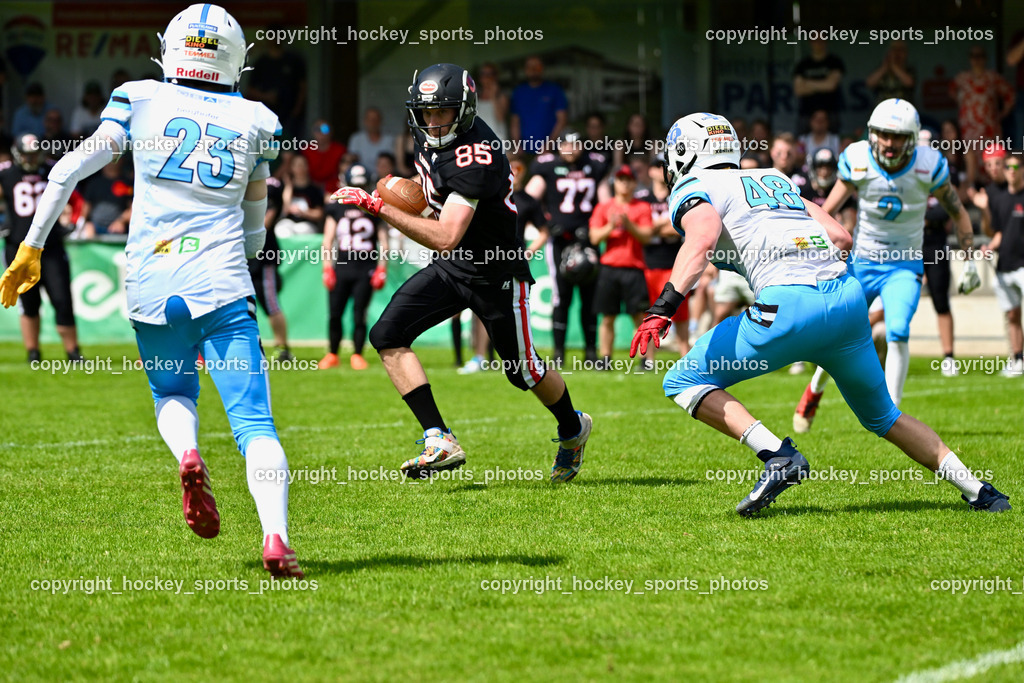 Carinthian Lions vs. Styrian Bears | Carinthian Lions vs. Styrian Bears, Carinthian Lions vs. Styrian Bears am 20.05.2024 in Klagenfurt (ASV Sportplatz), Austria, (Photo by Bernd Stefan)