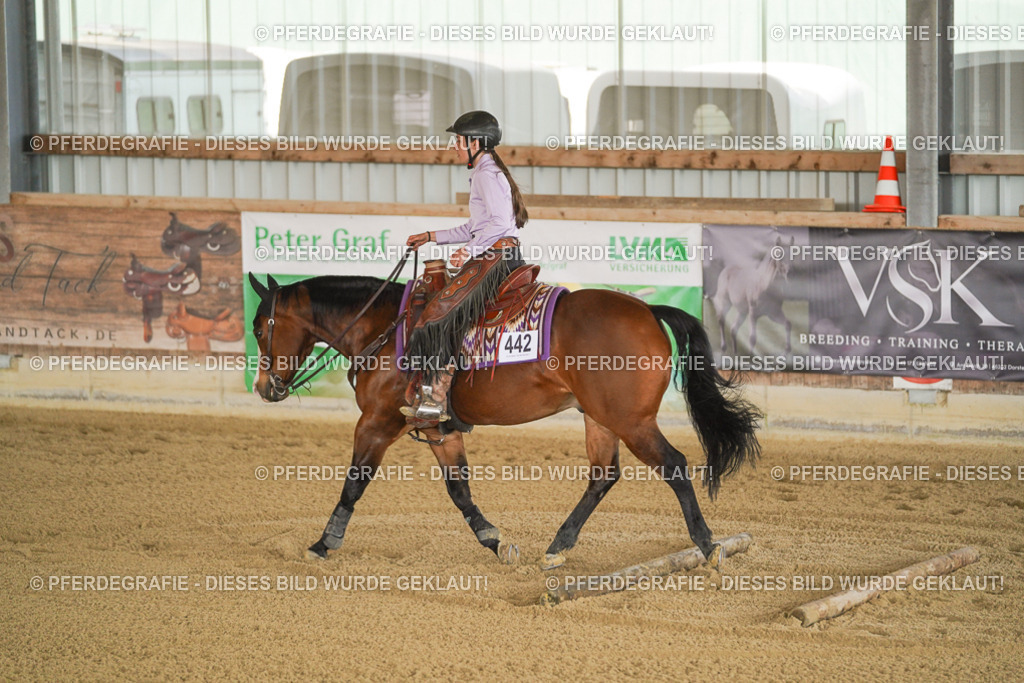 DSC06149 | Pferdegrafie