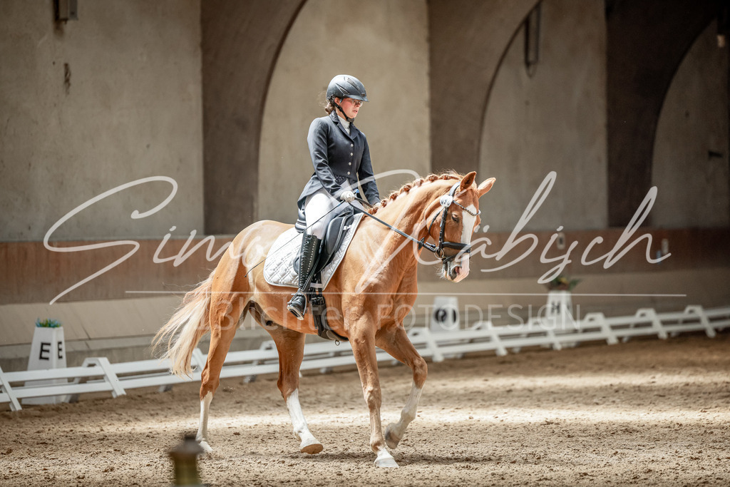 20250622-_3LI2703 | Tierfotografie Pferde, Hunde, Katzen, Haustiere.
Turnierfotografie Reitturniere, Reiten, Springreiten, Dressur in Hanau, dem Main-Kinzig-Kreis und dem Rhein-Main- Gebiet um Frankfurt