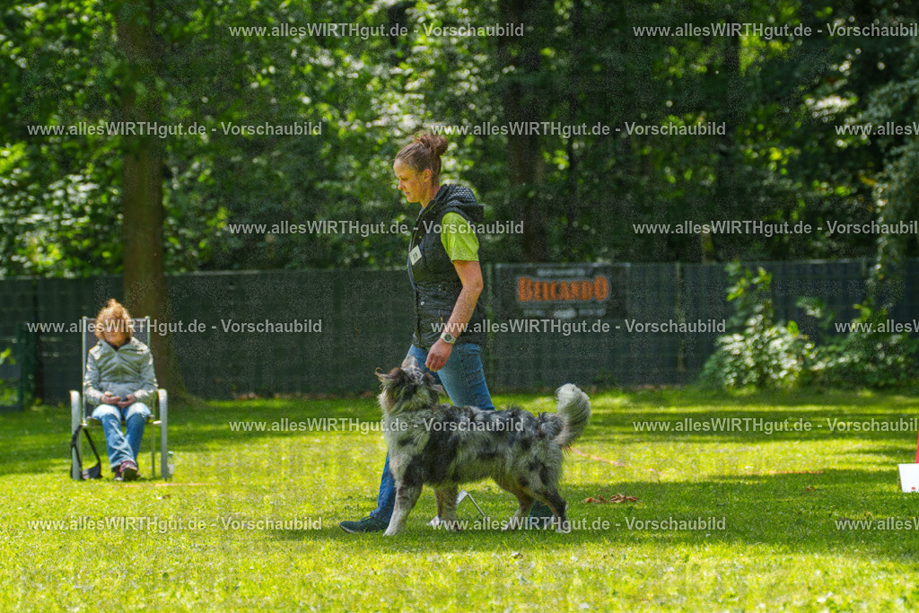 @allesWIRTHgut_Tierfotografie - www.allesWIRTHgut.de - 7R504823 | Professionelle Tierfotografie in Mönchengladbach von Daniel Wirth (allesWIRTHgut). Liebevolle & natürliche Bilder von Hunden & Katzen für unvergessliche Erinnerungen.