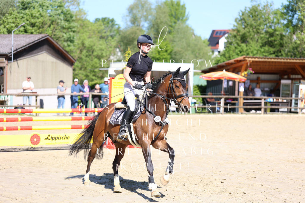 IMGS6983 | pl-fotografie