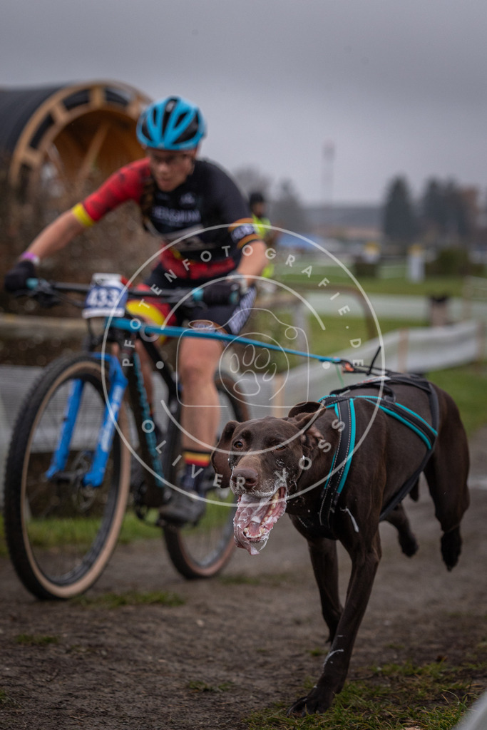 CaniXpix_0L8A1370 | Hundefotografie, Tierfotograf, Pfotenfotografie, Fotoshooting Hund, Hunde Portrait, Hundesport, Hundeportraits, Heideshooting, Hunde, Sportfotograf, Hundefotograf, Turnierhundsport, THS,  - Realisiert mit Pictrs.com