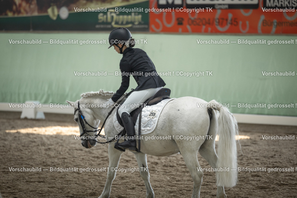 _D5A5711 | Emotionale Pferde- & People-Fotografie rund um Heidelberg, Leimen & Umgebung. Natürliche Fotos von Pferd, Mensch & Familie. Jetzt Termin sichern!