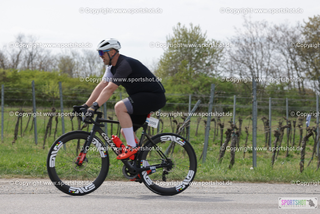 368A4823 | Neusiedlersee Radmarathon 2026@sportshot_your_pictrs #yourpictures#roadtowm2029 #nrm #neusiedlerseeradmarathon #neusiedlersee #neusiedlerseetourismus #burgenland #mörbisch #nrm26 #burgenlandtourismus #voglundco #poweredbyburgenlandtourismus #radsport #rad #marathon #ucigranfondo #visitburgenland #ucigranfondoworldseries
