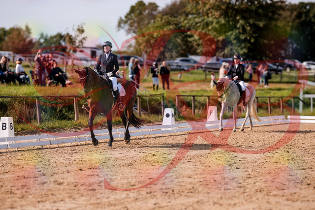 2026_10_03_Siefer-Hof_123006_Z81_28645005 | Professionelle Reitsport-, Turnier- und Eventfotografie von Robert Broda. Galerien mit ausgewählten und bearbeiteten Bildern direkt online ansehen und bestellen.