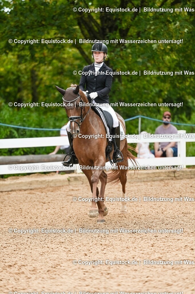 20230715_07_Dressurpferdeprfg. Kl.L_0054 | equistock