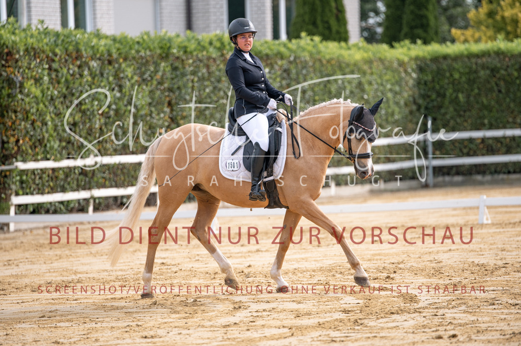 Schugtsche-Aluta25-40.DressurprfA_-112 | Schugtsche Fotografie - Realisiert mit Pictrs.com