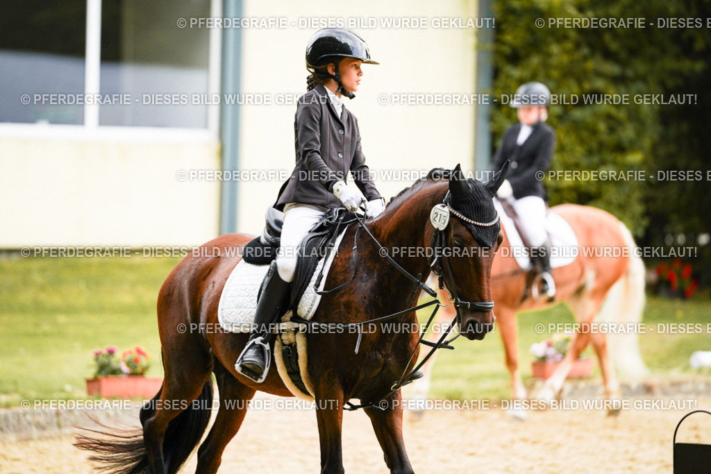 DSC00353 | Pferdegrafie