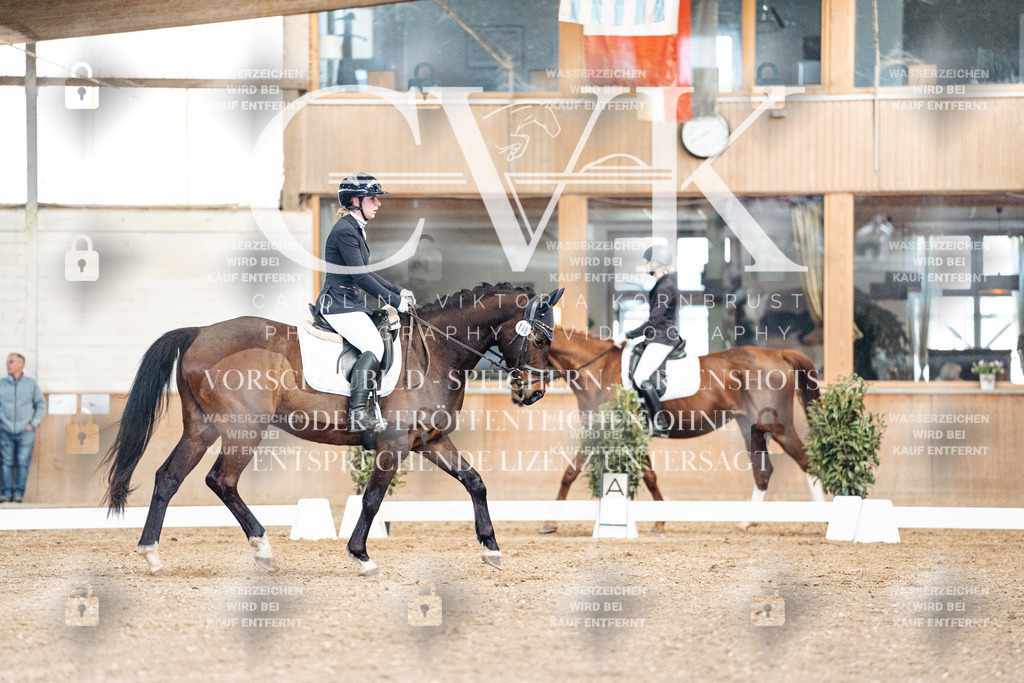 CK900893 | Turnierfotografie Pferdefotografie Trier Rheinland-Pfalz Pferdesport Reitsport Tierfotografie Sportfotografie Pferdevideo Pferdevideografie Equestrianvideography equestrianphotography  - Realisiert mit Pictrs.com