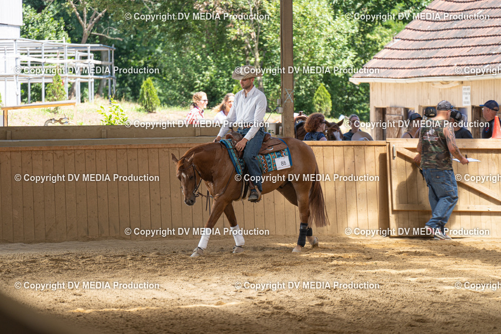 DSC00073 | dv-media-shop - Realisiert mit Pictrs.com