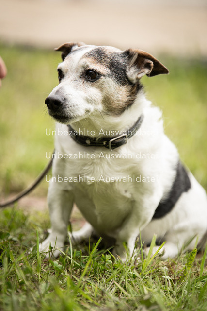 Bad_Meinberg_06881 | saradresslerfotografie - Realisiert mit Pictrs.com