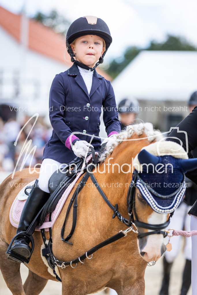 BHO-Führzügel2-012 | MomenTaufnahmen Pferdesportfotos